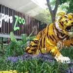Singapore Zoo