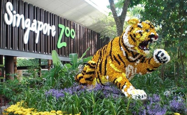 Singapore Zoo