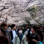 Japanese Tourists
