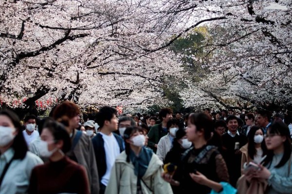Japanese Tourists