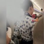 Flight Attendant
